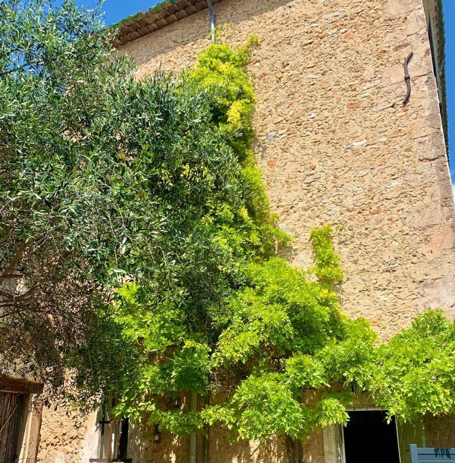 Appartement Avec Jardin Privatif Cazouls-lès-Béziers Exterior foto