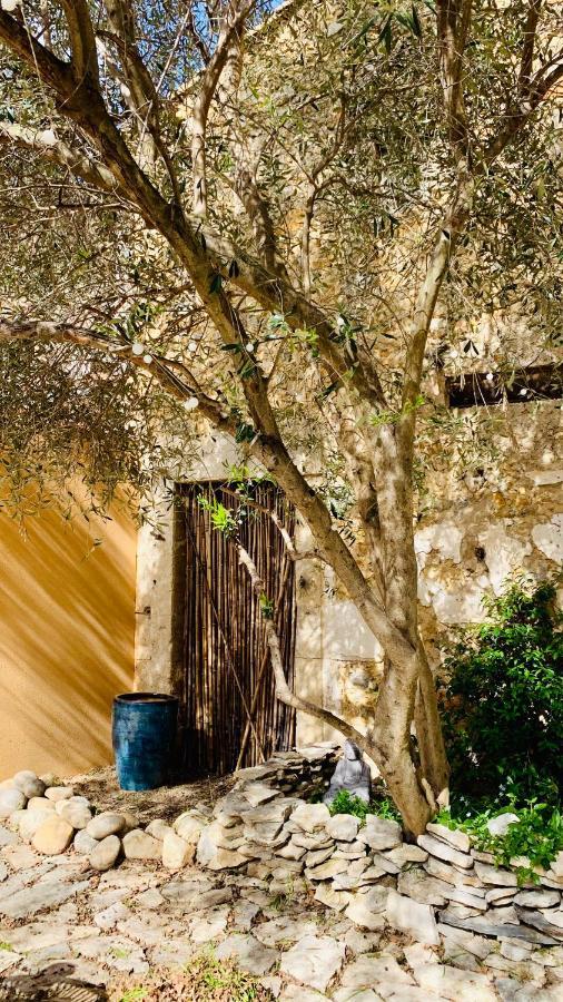 Appartement Avec Jardin Privatif Cazouls-lès-Béziers Exterior foto